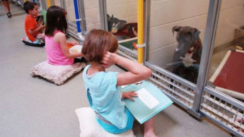 NIÑOS LEEN A PERROS NIÑOS LEEN A PERROS
