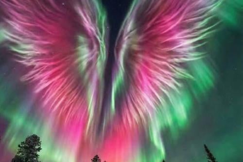 auroras boreales Imagen: ifeg.info