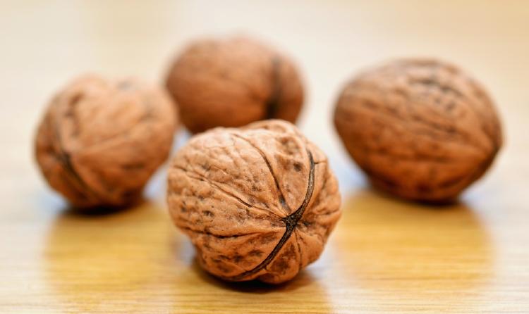 walnuts 552975 1280 Nueces