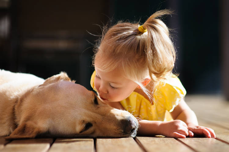 Una niña le da un beso a un perro