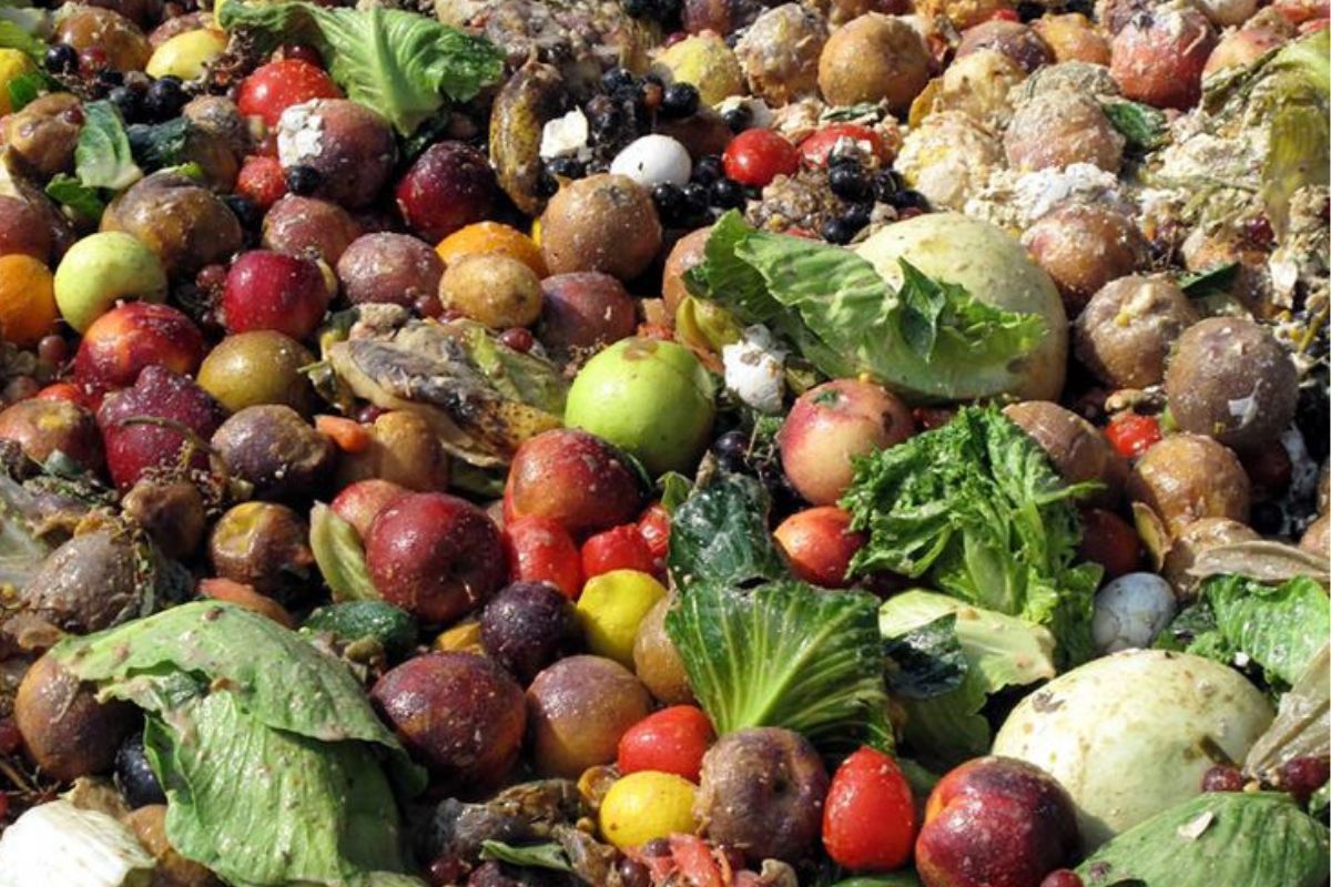 Cada vez que tiramos un trozo de pan duro, una cáscara de banana o el arroz del día anterior, no solo estamos desechando comida: también recursos, energía y dinero. (Imagen: Pinterest)