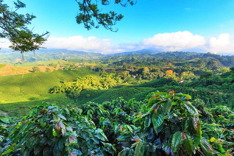 colombia biodiversidad AdobeStock_145232994