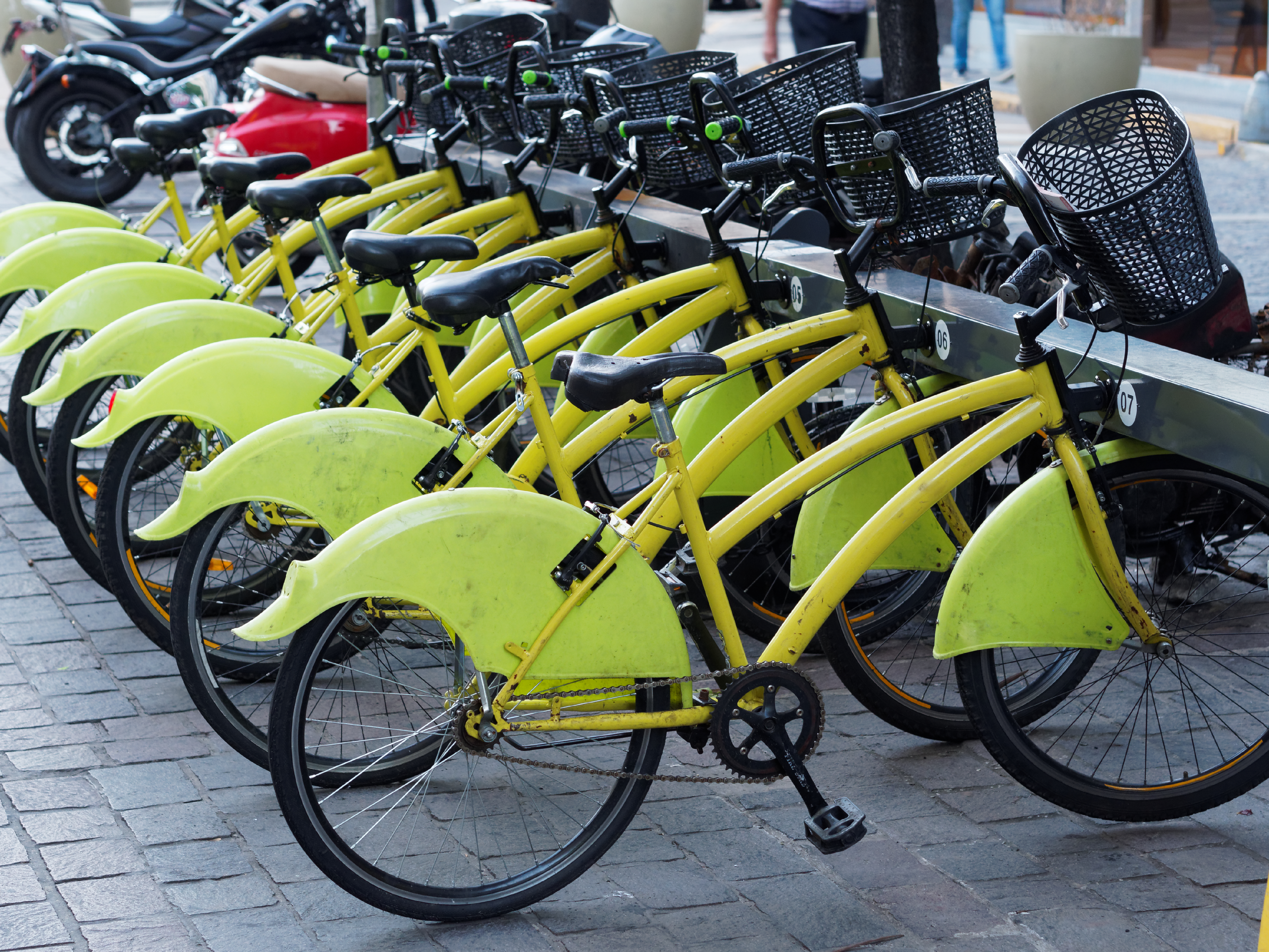 shutterstock_582913126 shutterstock_582913126