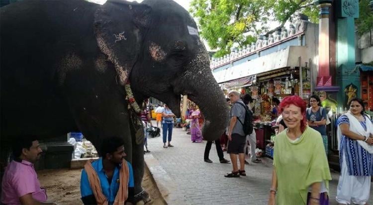 abuelita mochilera2 abuelita mochilera2