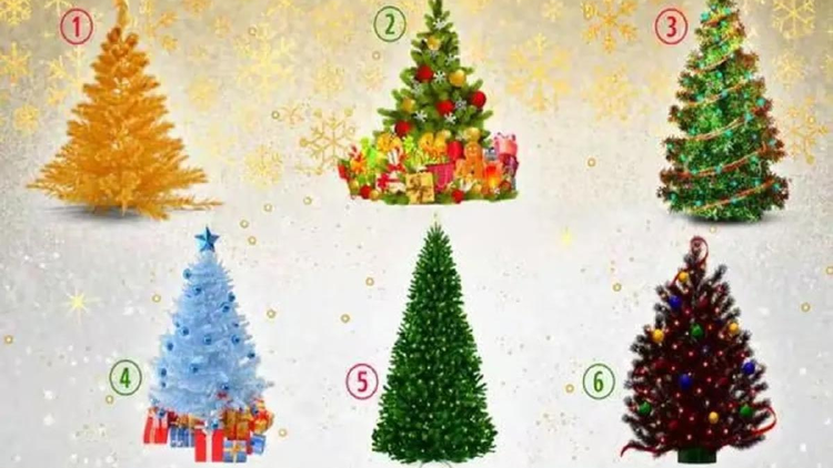 test navidad Test de personalidad: el árbol de Navidad que elijas develará tu lado atractivo (Foto: Pinterest)