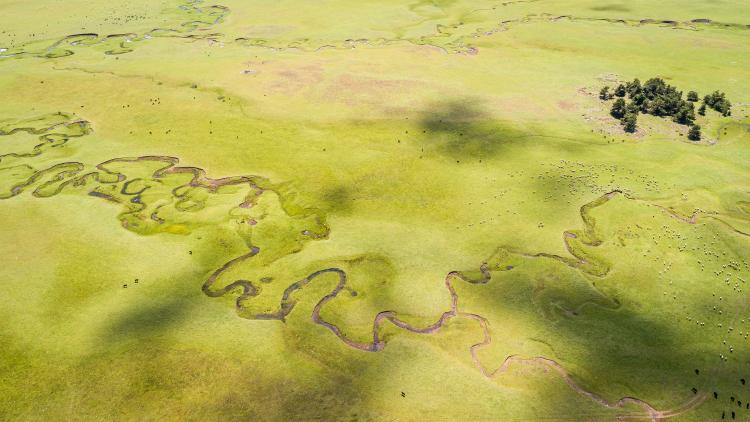 eutrofización algas tóxicas unsplash eutrofización algas tóxicas unsplash