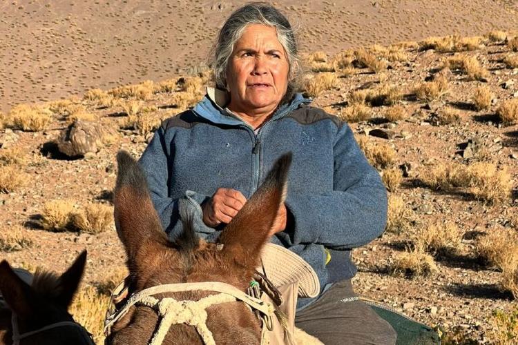 Ercilia Araya e1686153231319 768x512 Ercilia Araya e1686153231319 768x512