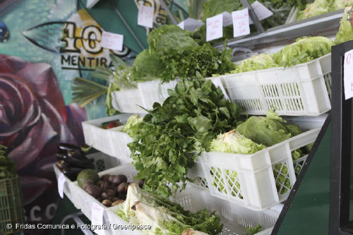 GP0STSQRX_Web_size_with_credit_line GP0STSQRX_Web_size_with_credit_line