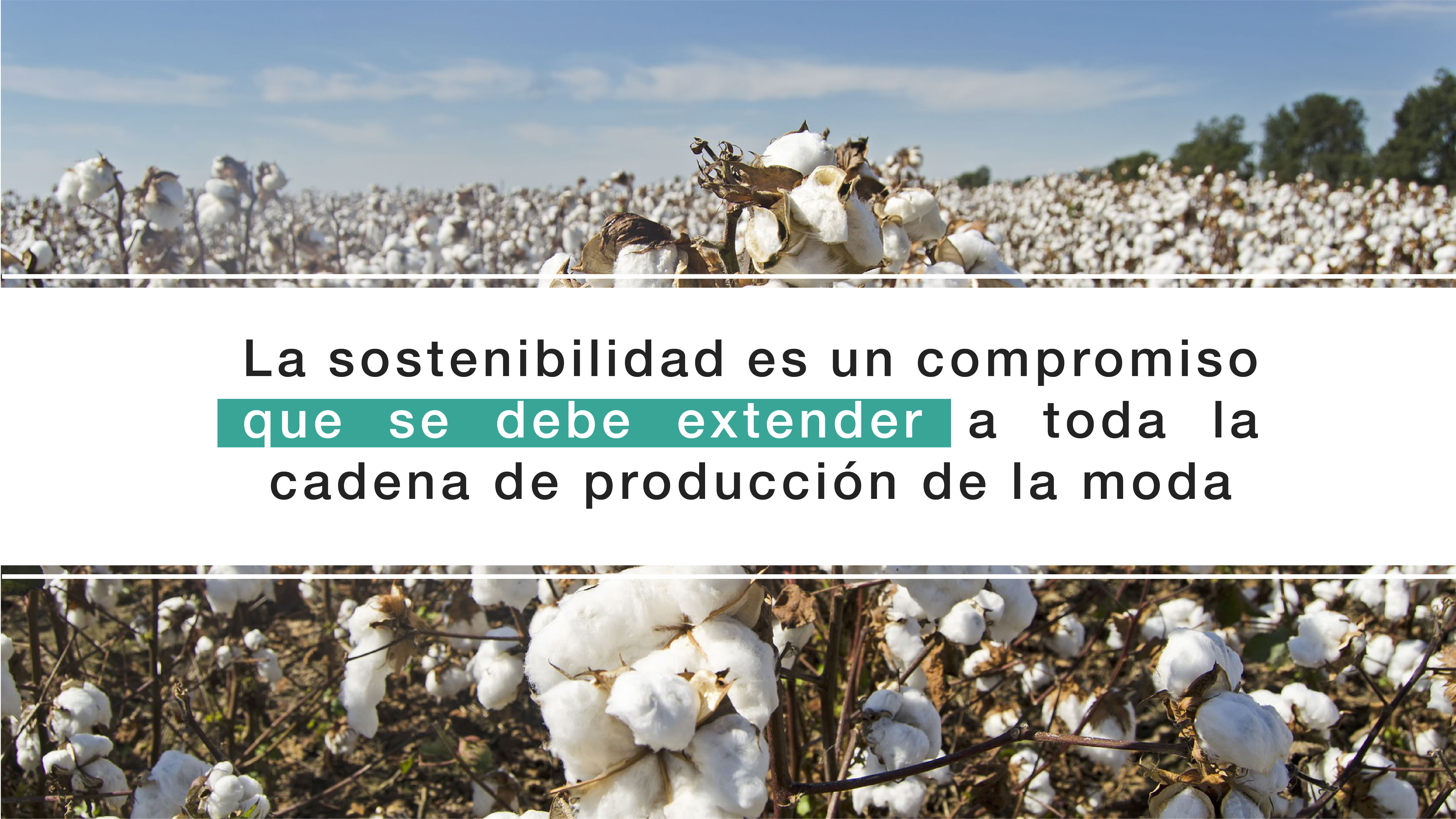 universo mola universo mola