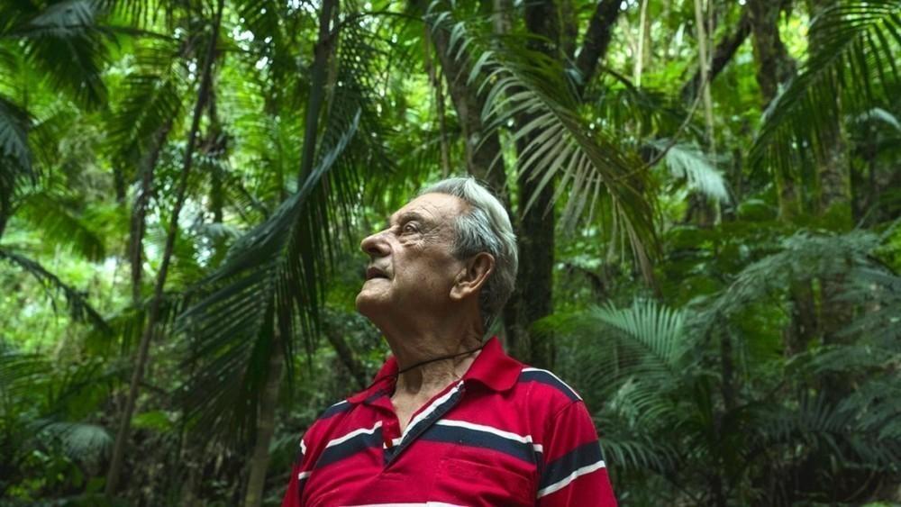 Hoy vive rodeado de la naturaleza que plantó hace 40 años Hoy vive rodeado de la naturaleza que plantó hace 40 años