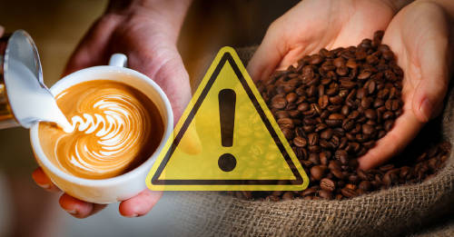 Alertan que las especies más populares de café están en peligro de extinción