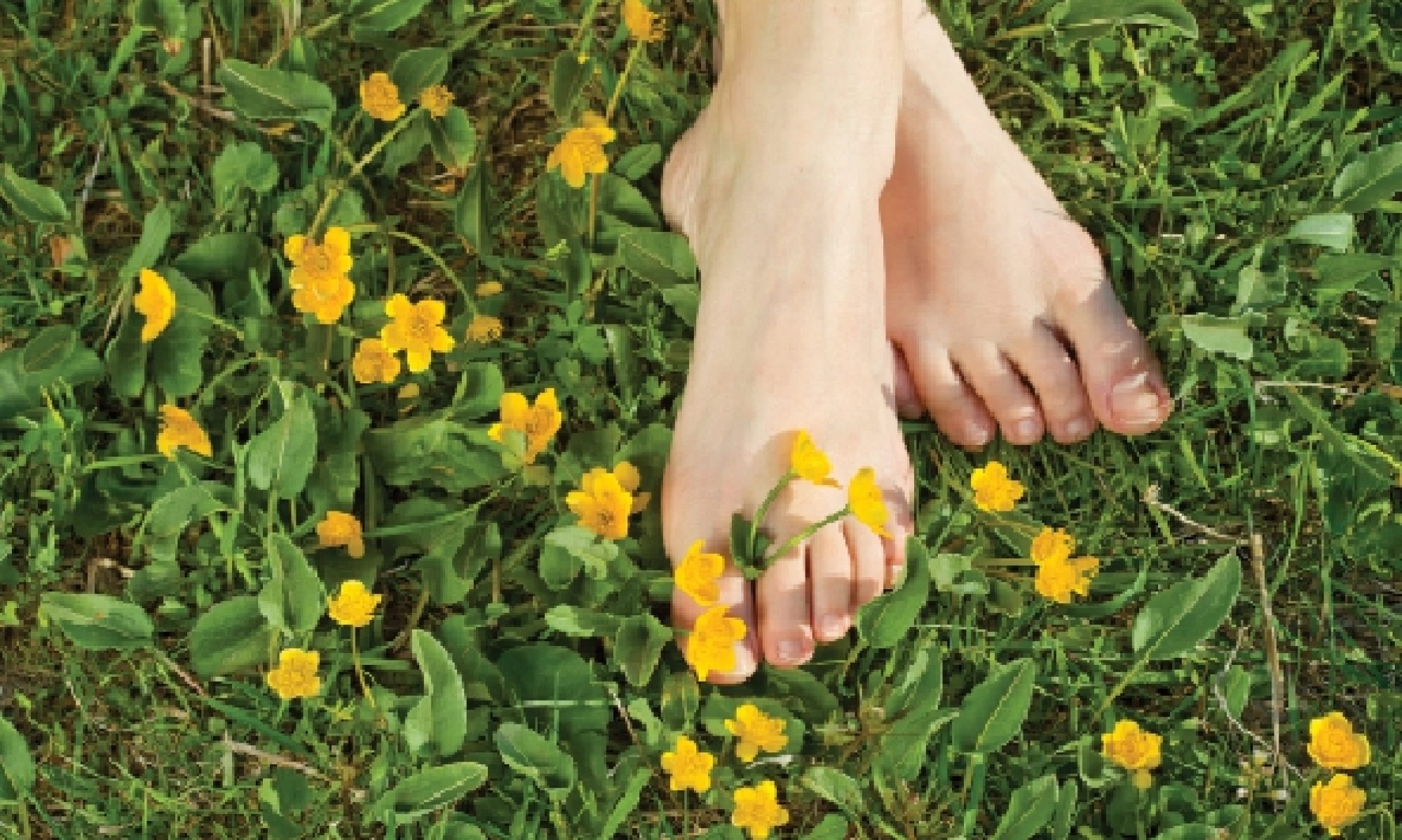 earthing earthing