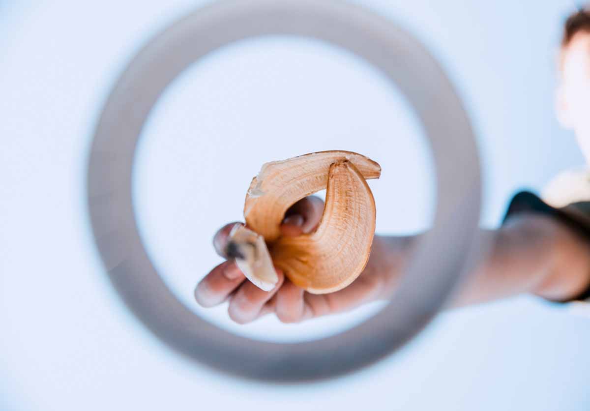 desechos alimentos2 desechos alimentos2