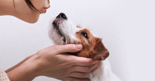 le gusta a tu perro hables como bebe le gusta a tu perro hables como bebe