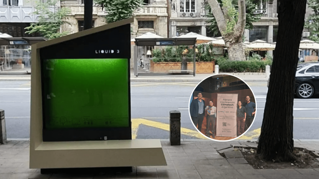 arbol liquido argentina calor cambio climatico 1024x576 arbol liquido argentina calor cambio climatico 1024x576