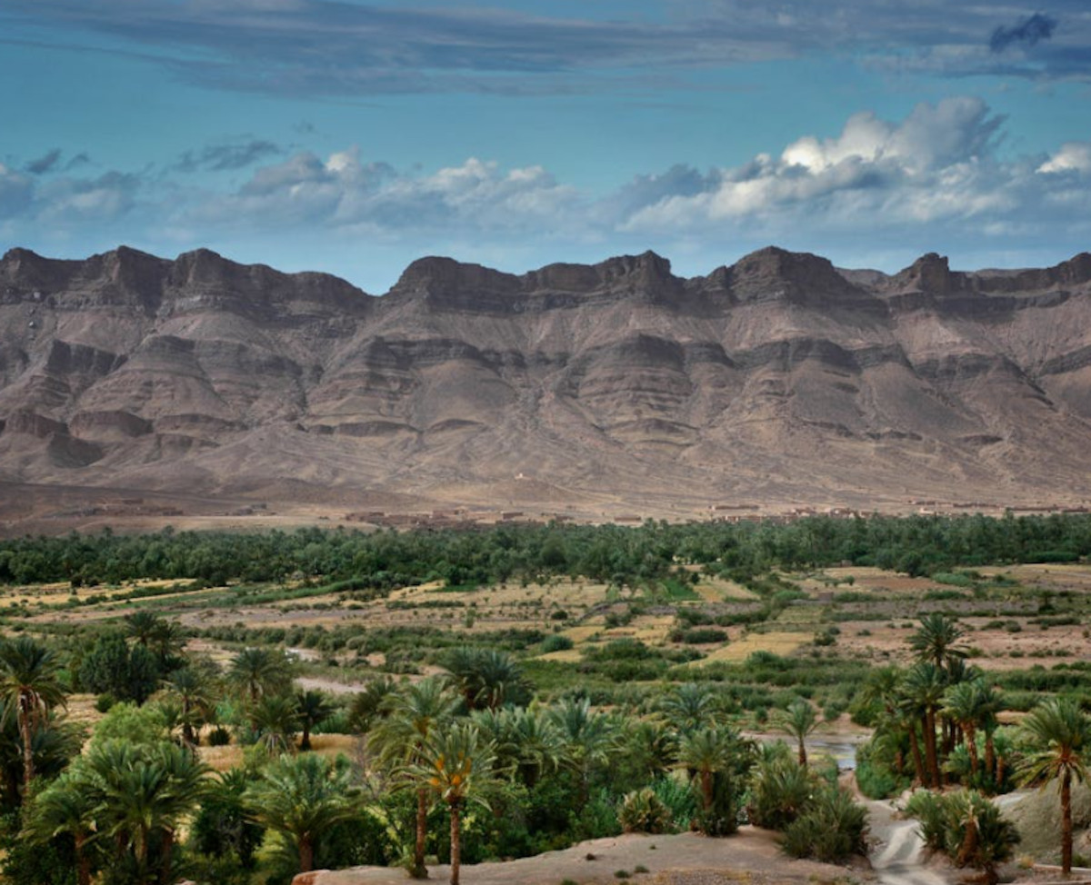 oasis desierto2
