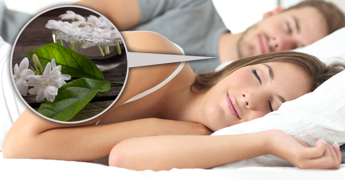 Por qué tener jazmín en el dormitorio puede mejorar tu vida Por qué tener jazmín en el dormitorio puede mejorar tu vida