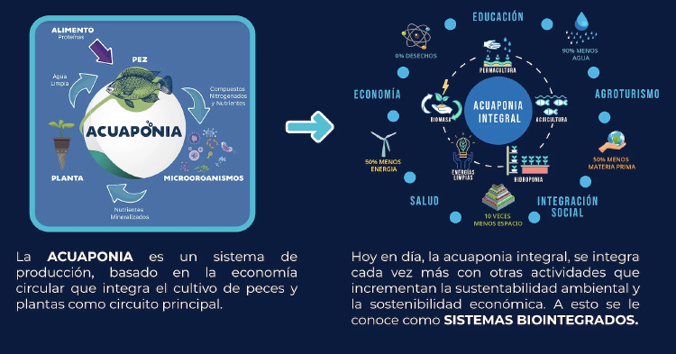 Captura de Pantalla 2022 08 01 a la(s) 11.24.59 Captura de Pantalla 2022 08 01 a la(s) 11.24.59