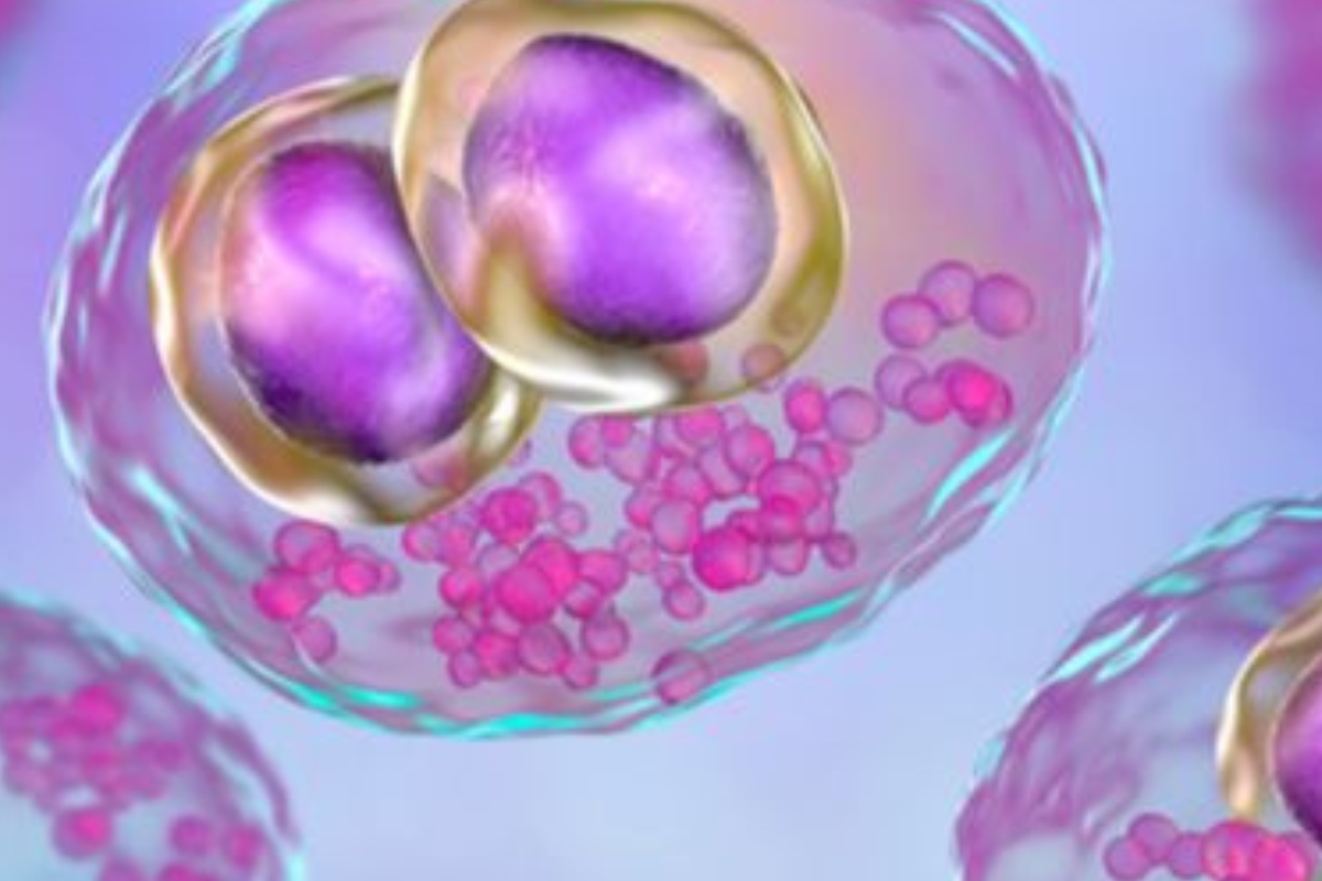 El CMV es un virus común de la familia del herpes (la misma a la que pertenecen el herpes simple y el Epstein Barr). (Imagen: Pinterest)