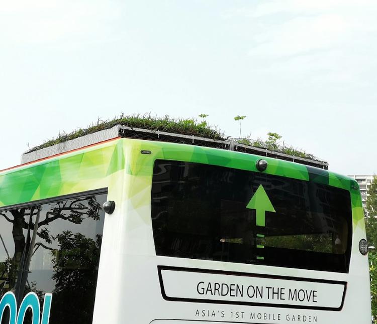 singapour bus vegetal