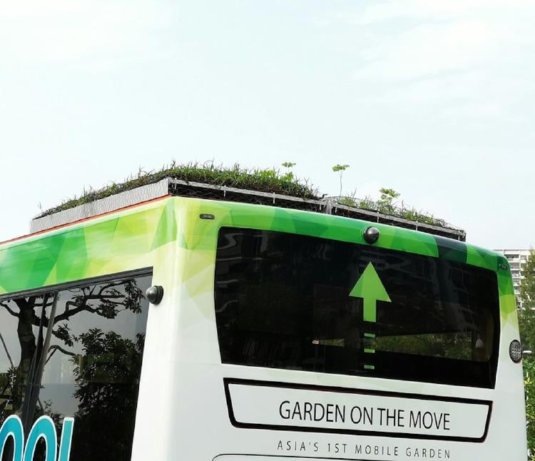 singapour bus vegetal singapour bus vegetal