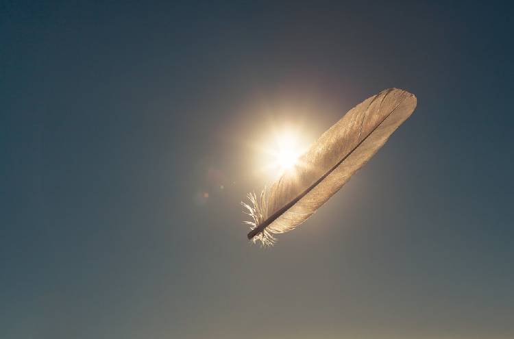 Pluma cielo sol Cómo saber que tu ángel guardián te protege