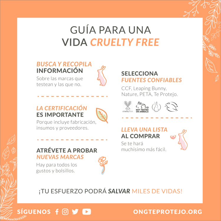 vida-cf_instagram vida-cf_instagram