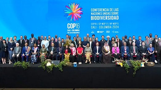 Participantes de la COP16