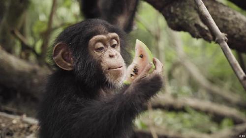 64296177_906 64296177_906