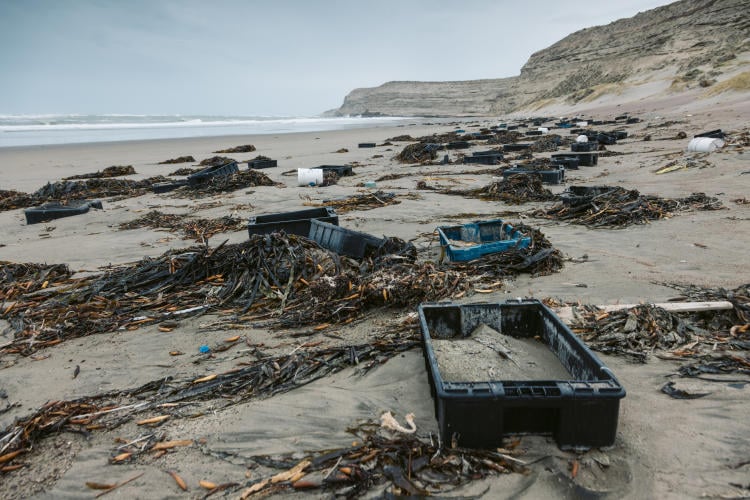 MM 230410 Valdes 8 MM 230410 Valdes 8