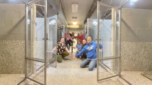 refugio animales refugio animales