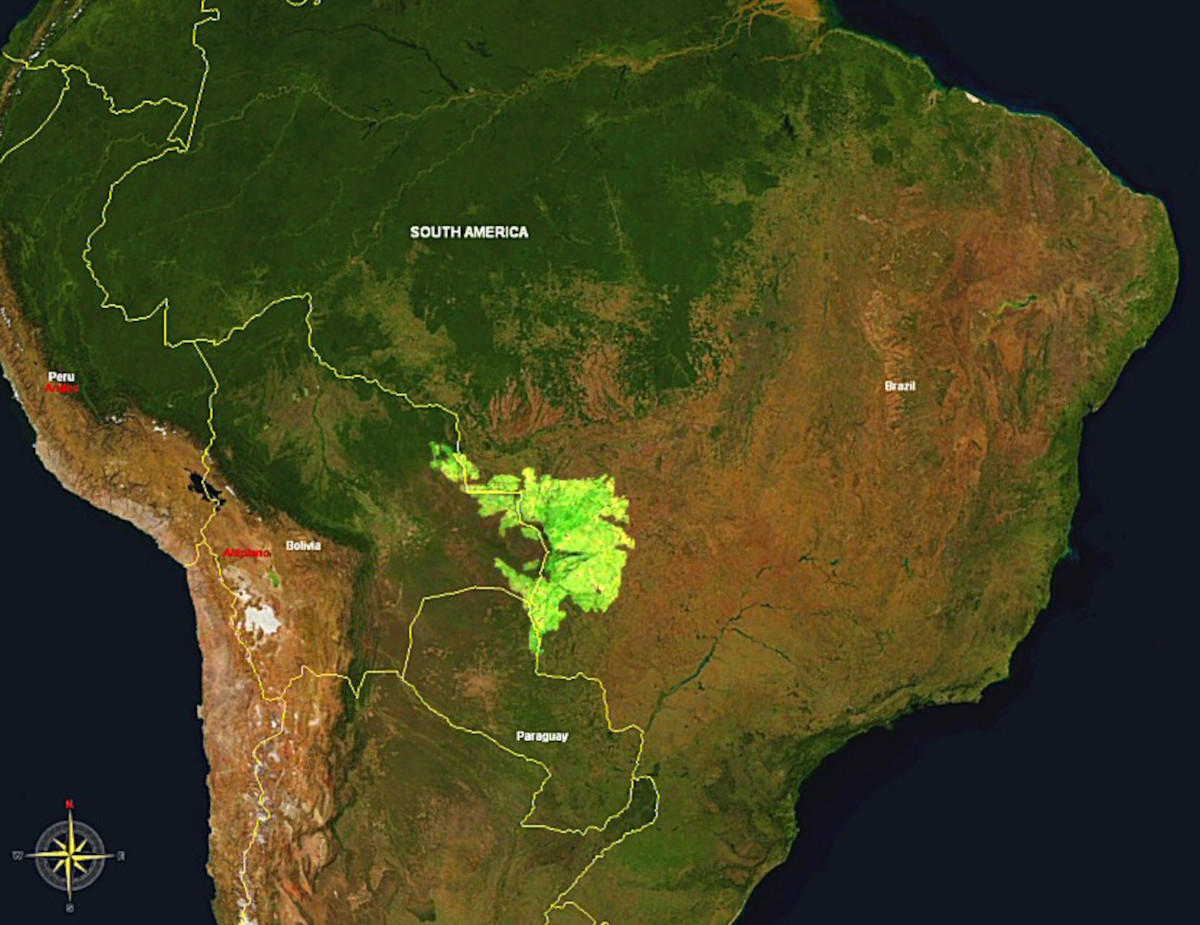 humedal brasil incendios2