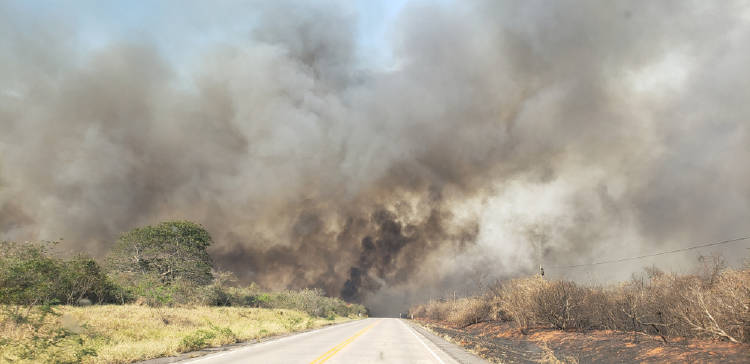 incendio bolivia