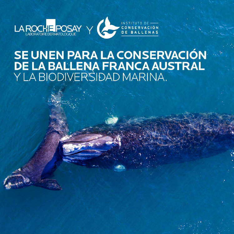 La Roche Posay se une al Instituto de Conservación de Ballenas