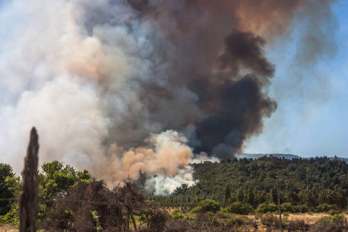 Incendios forestales en Chile consumen 5.000 hectáreas