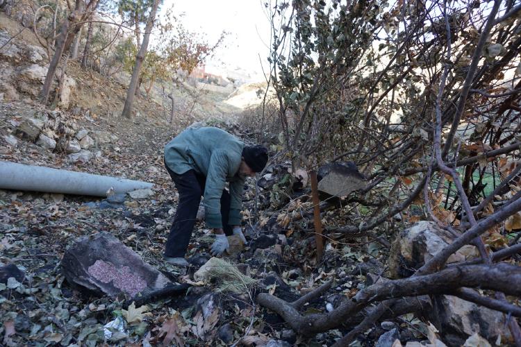 el-hombre-de-71-años-que-convirtio-un-baslar-en-un-bosque el-hombre-de-71-años-que-convirtio-un-baslar-en-un-bosque