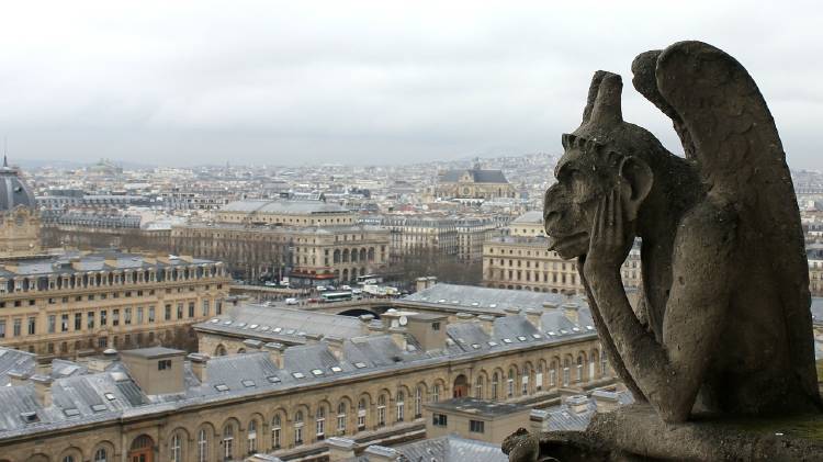 Las abejas de Notre Dame sobrevivieron al incendio