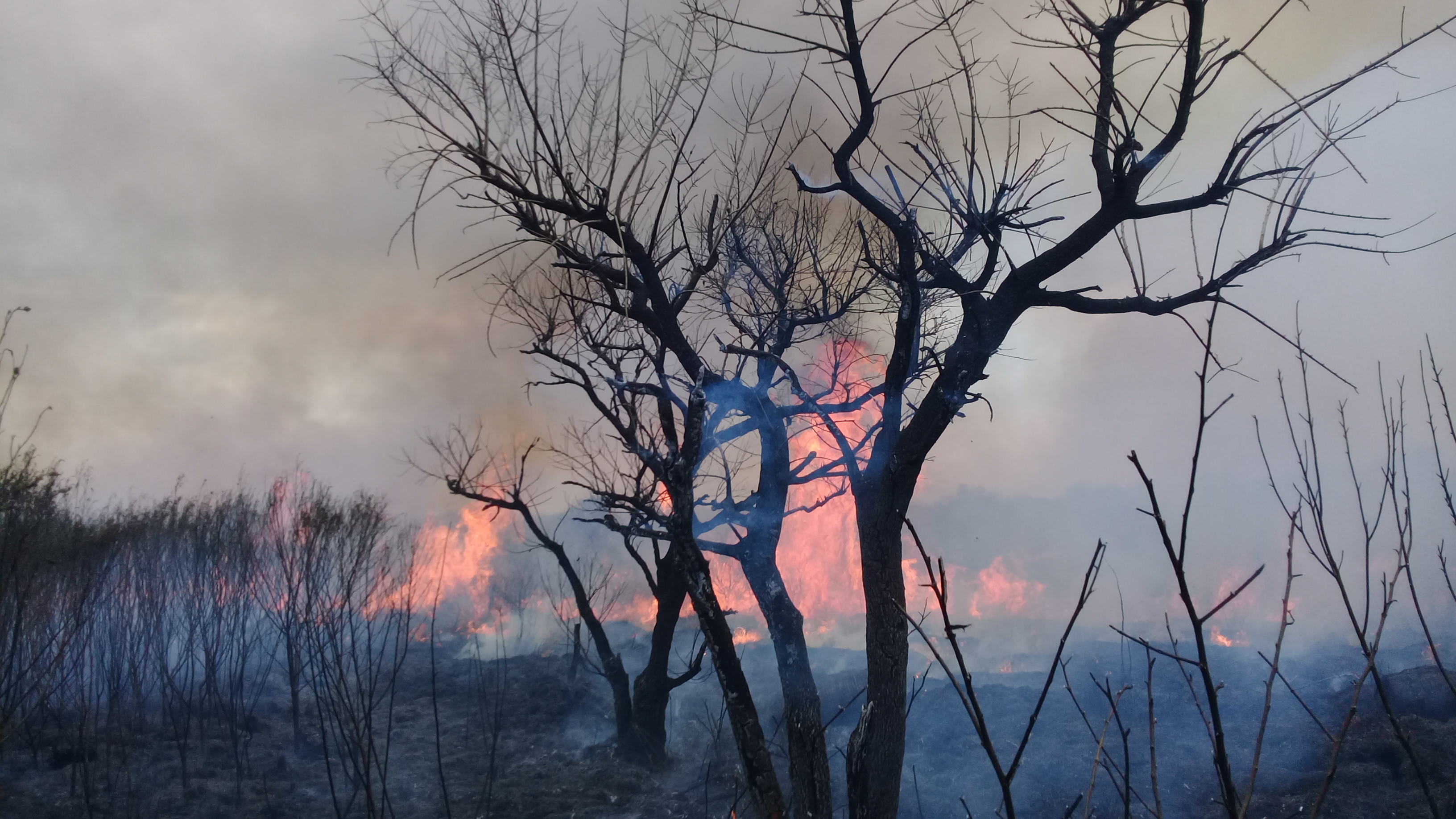 de Gabriel Ruiz Díaz(7) (1) de Gabriel Ruiz Díaz(7) (1)