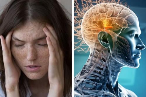 descarga neurogénica Imagenes: Pinterest