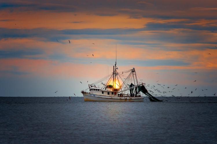 Pesca de arrastre VH