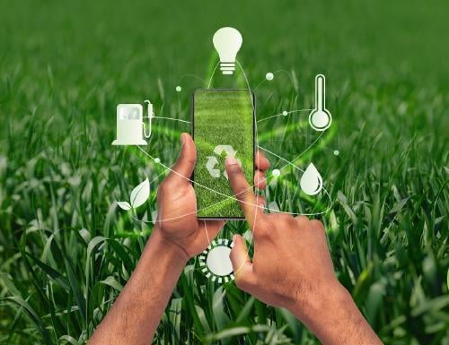 Cómo cuidar el medio ambiente Cómo cuidar el medio ambiente