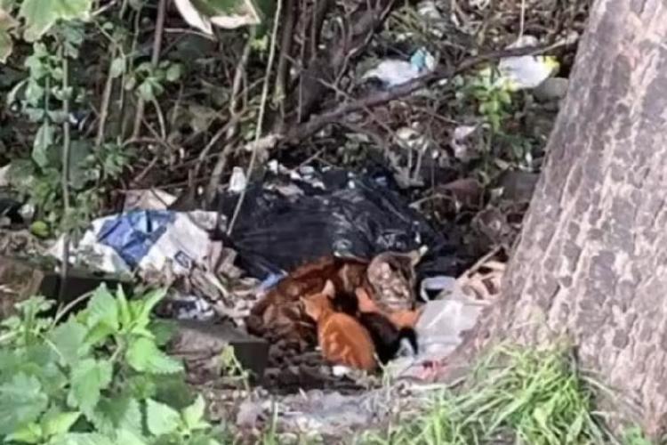 LNSJPTQX7RGQDA64BPSPEMOWKU LNSJPTQX7RGQDA64BPSPEMOWKU