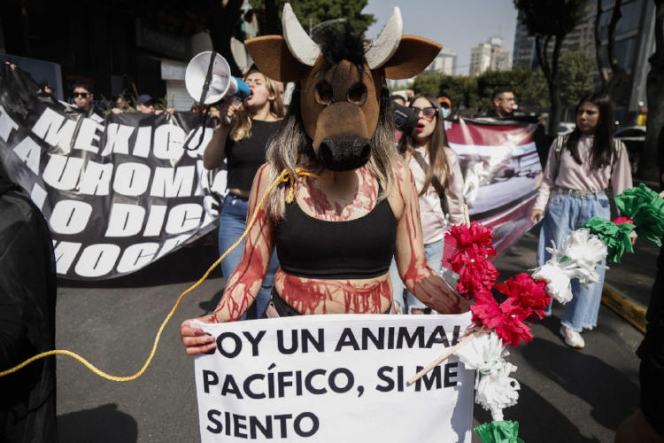 protestas toros mexico2