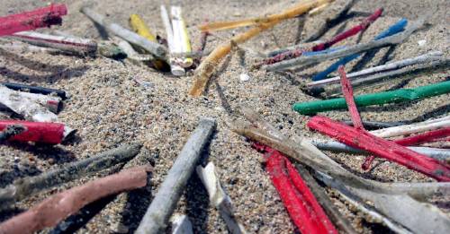 ciudad buenos aires prohibe sorbetes plasticos ciudad buenos aires prohibe sorbetes plasticos