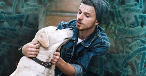 Hay una parte del cuerpo masculino con más gérmenes que el pelo de los perros