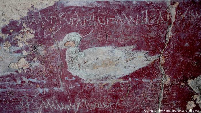 66399921_303 66399921_303