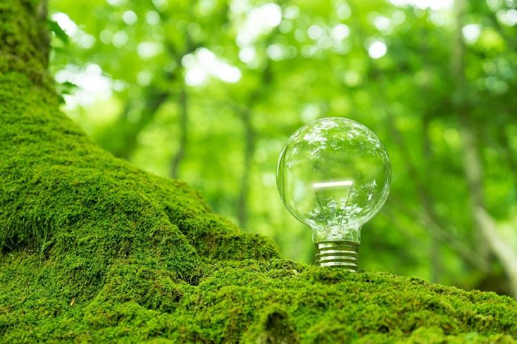 1684124356 archive AdobeStock 438962110 rz1250 consejos para una vida sostenible