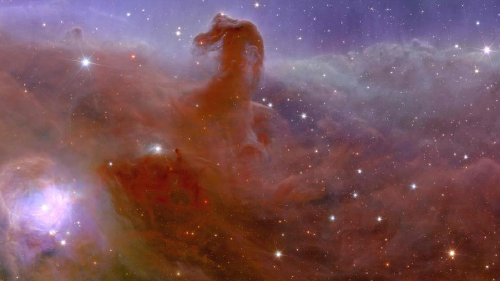 67337436_1004 67337436_1004