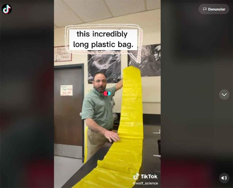 bernoulli tiktok3 bernoulli tiktok3