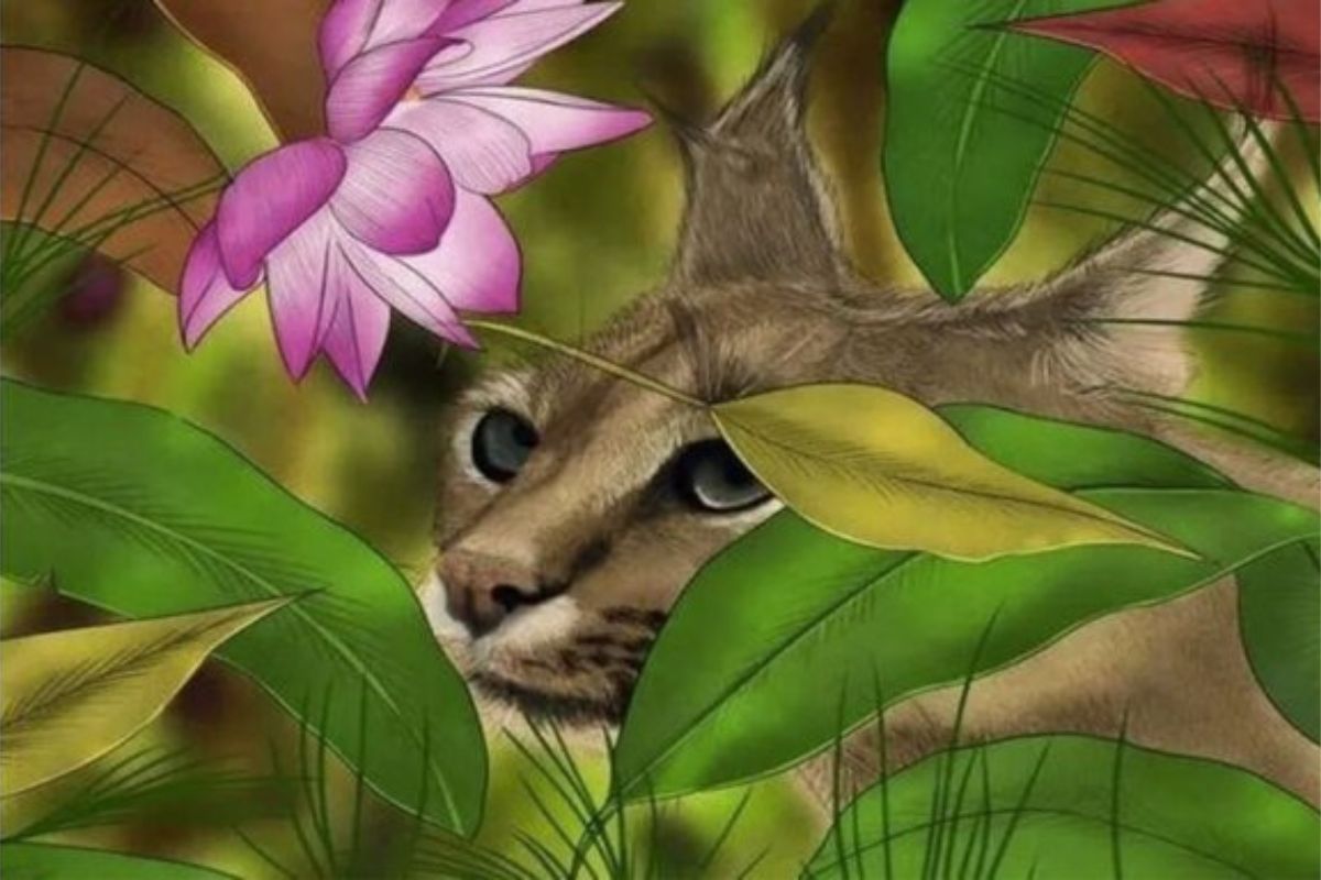 Acertijo Desafío visual